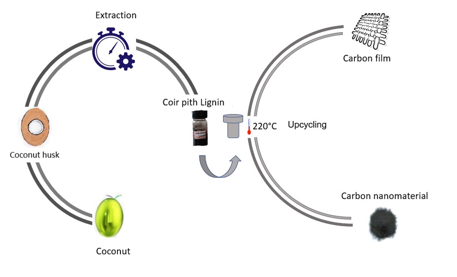 Conversion of coconut husk and coir-pith lignin into carbon films and carbon nanomaterials.